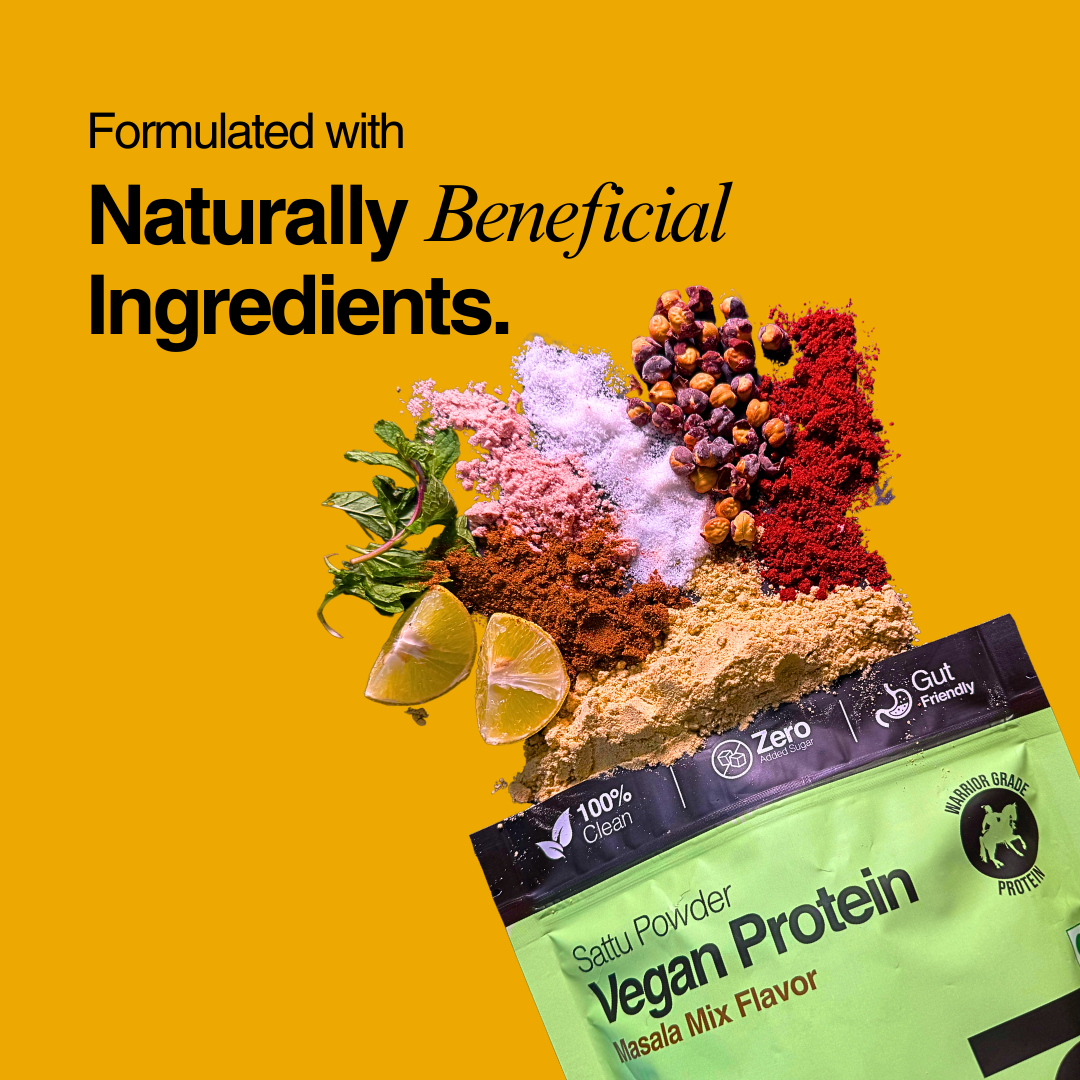 Fuel Protein – Masala Mix Flavor