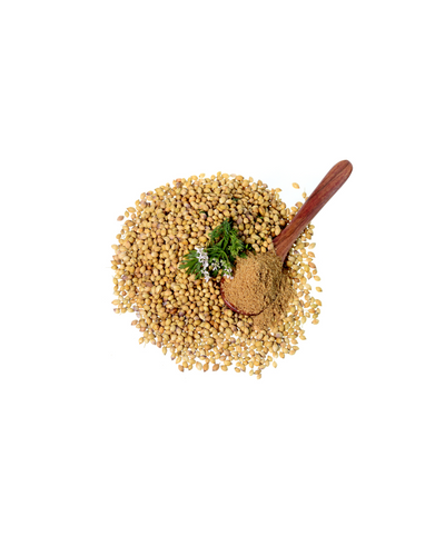 Coriander